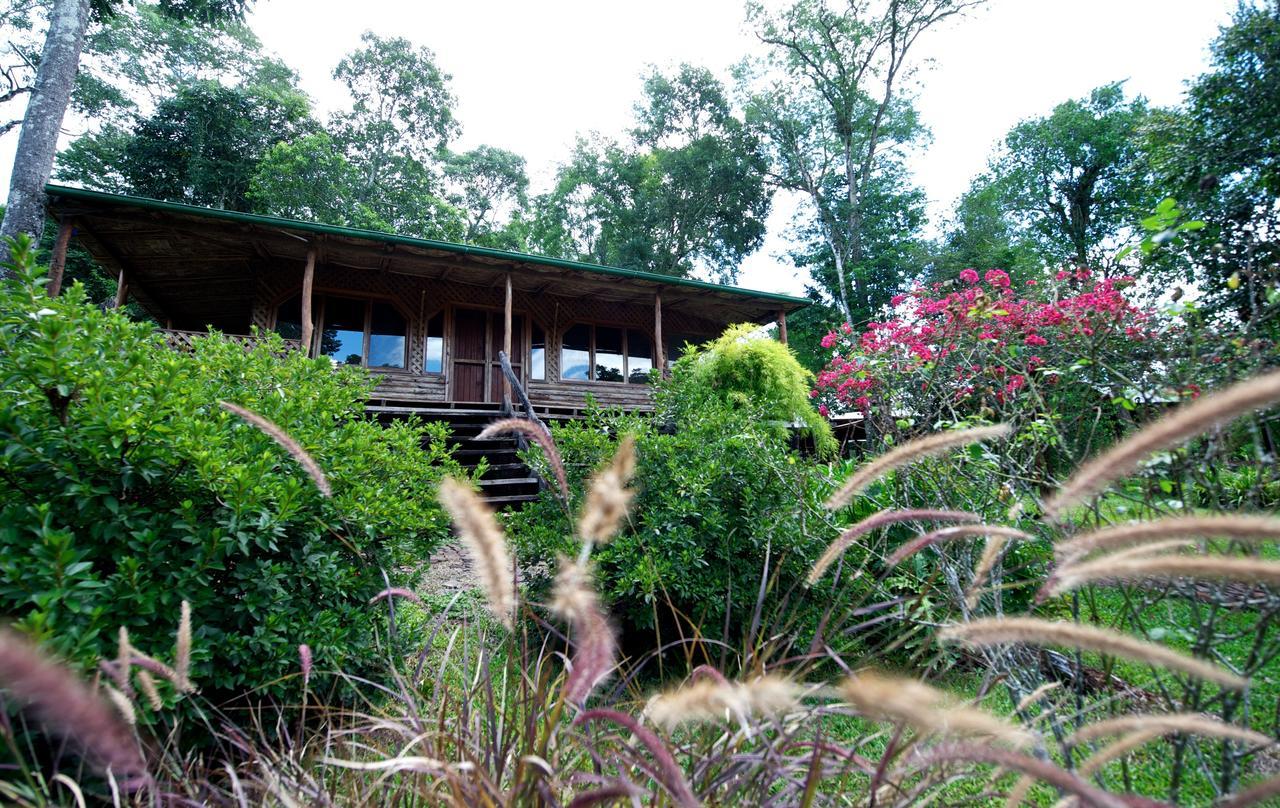 La Mision Mocona - Lodge De Selva Saltos del Moconá Rum bild
