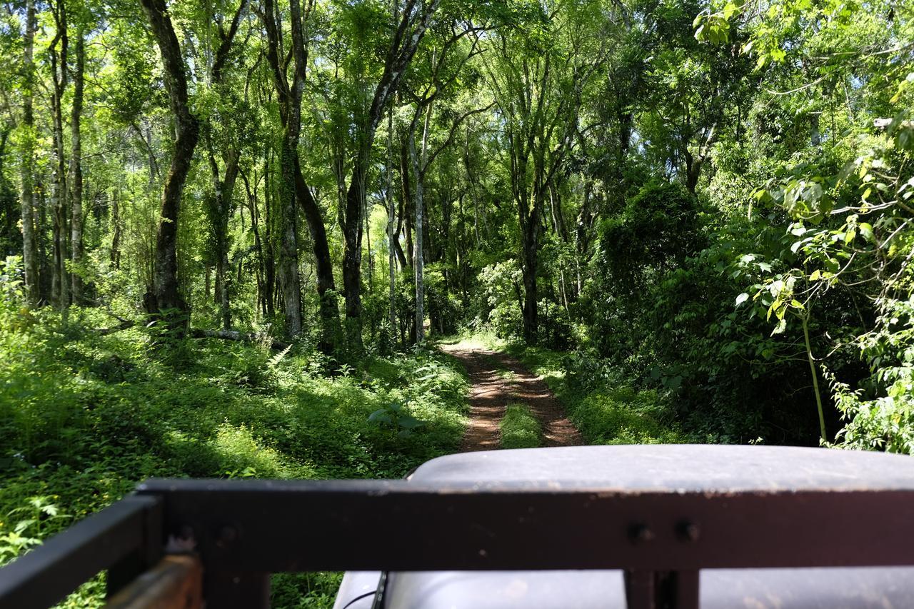 La Mision Mocona - Lodge De Selva Saltos del Moconá Exteriör bild