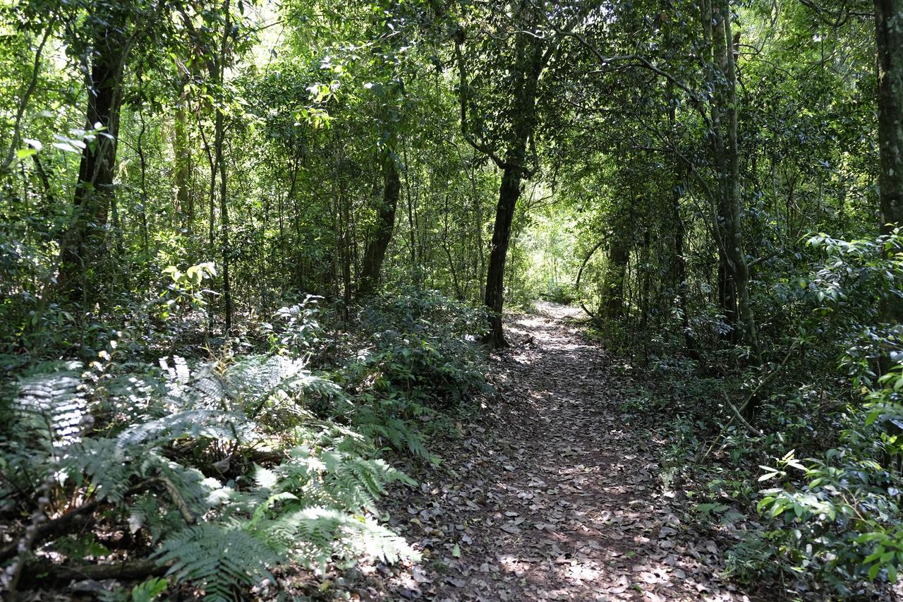 La Mision Mocona - Lodge De Selva Saltos del Moconá Exteriör bild